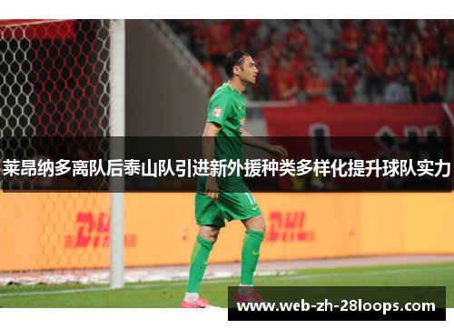 莱昂纳多离队后泰山队引进新外援种类多样化提升球队实力