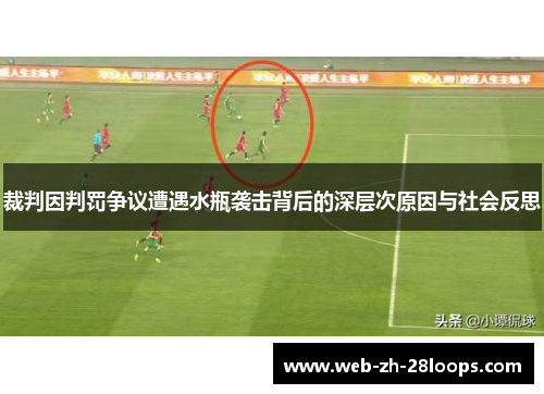 裁判因判罚争议遭遇水瓶袭击背后的深层次原因与社会反思