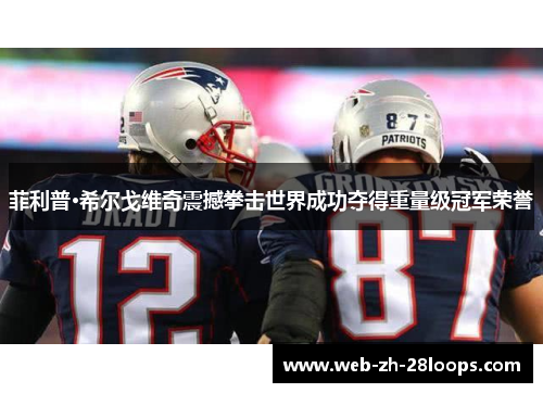 菲利普·希尔戈维奇震撼拳击世界成功夺得重量级冠军荣誉 菲利普·希尔戈维奇震撼拳击世界成功夺得重量级冠军荣誉