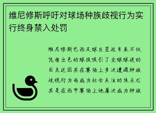 维尼修斯呼吁对球场种族歧视行为实行终身禁入处罚